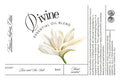 Divine Oil Blend